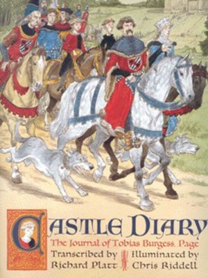 cover image of Castle diary